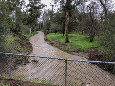 The Atmospheric River