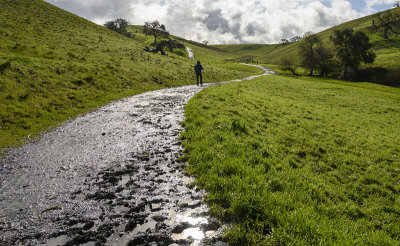 Shiny Trail