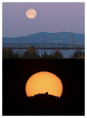 The setting Super Snow Moon and the sunrise behind Mount Hamilton