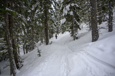 Snow Shoeing