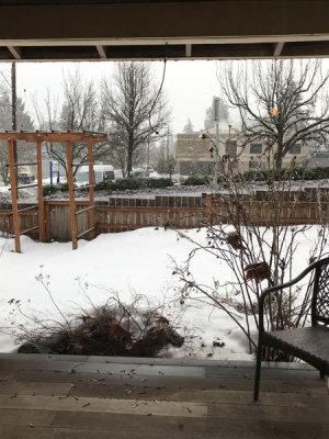 Morning Snow at the house