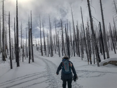 Snow Shoeing