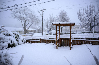 Next white morning