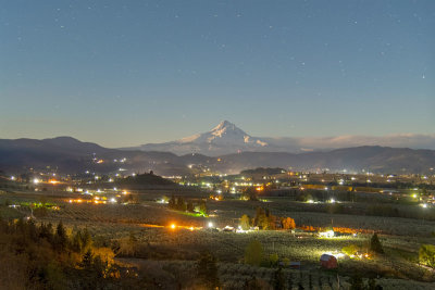 Moon lit Hood River Orchards and Mount Hood