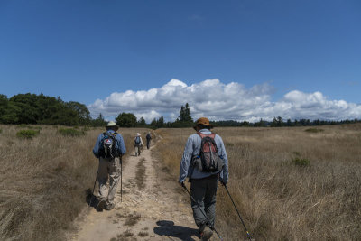 Wilder Loop Trail