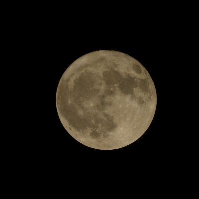 Tonight's Hunter Moon