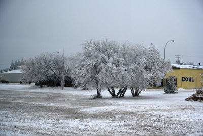 The frozen Saskatchewan province
