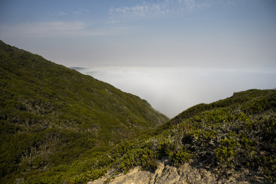 Fog covered Pacific Ocean