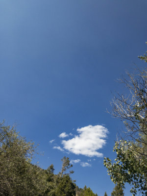 Blue skies and Clean air