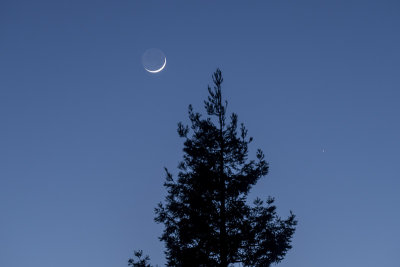 The Young Moon and Mercury
