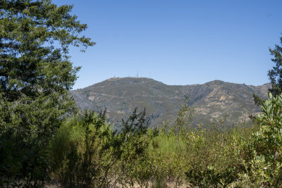 A view of Loma Prieta