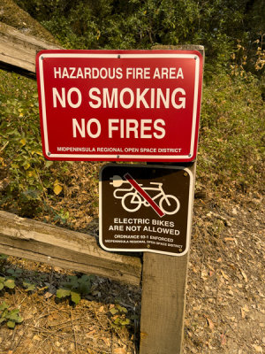 No E-bikes