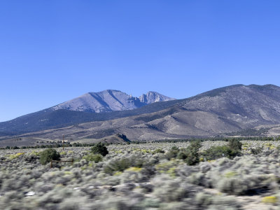 A view of Wheeler Peak from US 50