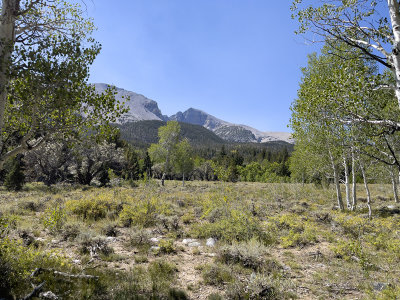 A view of Wheeler Peak