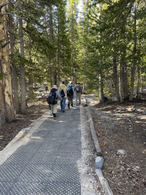 On the Bristlecone trail