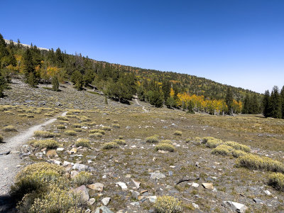 More Fall Colors