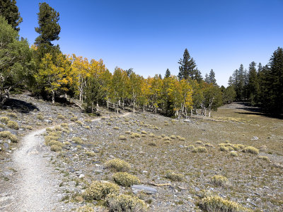 Alpine Lakes Trail