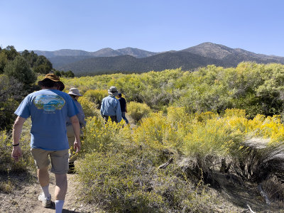 Time to turn around as the trail disappears
