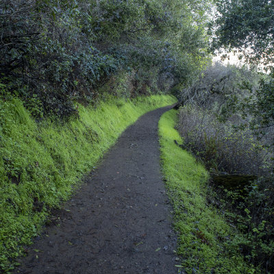 The Green trail