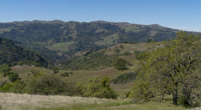 View of the Diablo Range