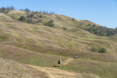Browning hills