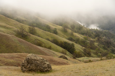 Undulating Hills - Ohlone Wilderness