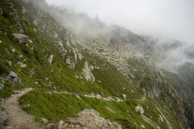 View back
