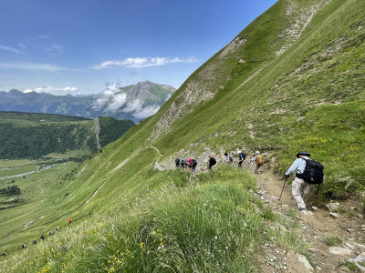 Trail