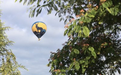 Un cerf dans le ciel