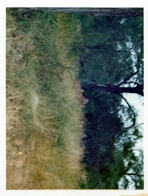 BERNBB(15).jpg