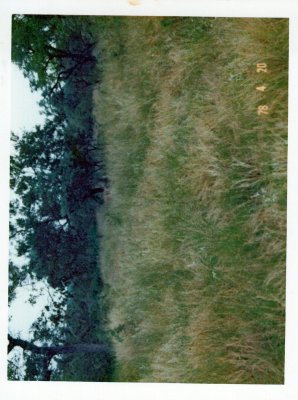 BERNBB(18).jpg