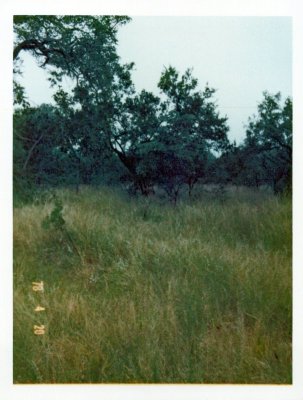 BERNBB(22).jpg