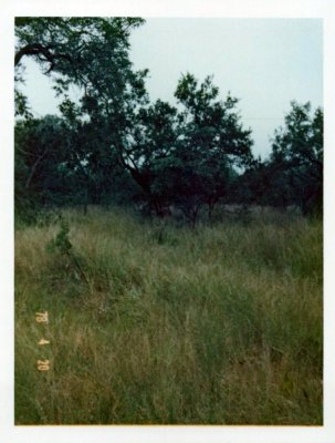 BERNBB(21).jpg