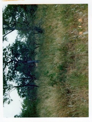BERNBB(31).jpg
