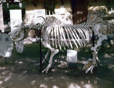 BERNBB(47).jpg