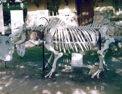 BERNBB(48).jpg