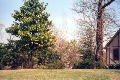 JOEL3B_0005_a.jpg