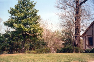 JOEL3B_0007_a.jpg
