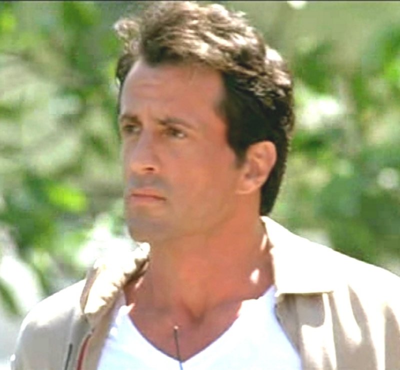 <strong>Sylvester Stallone</strong>