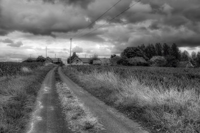 paysage-2PB.jpg