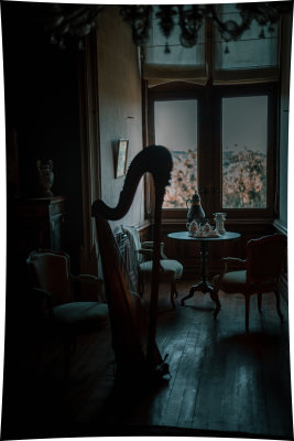 montreuil bellay salon de musique