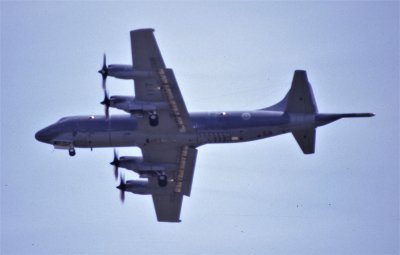 37 CP-140 140117 407 SQN.jpg