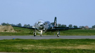 COL91 TUCANO.jpg