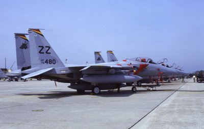F-15C 80480 ZZ 18TFW.jpg