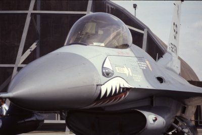 USAF F-16C 51552 SP 52TFW.jpg