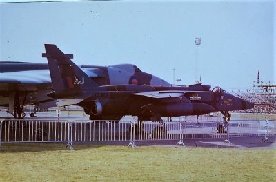 14 Sqn Jaguar GR1 XZ386 AJ.jpg