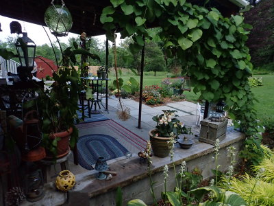 P7085585.JPG