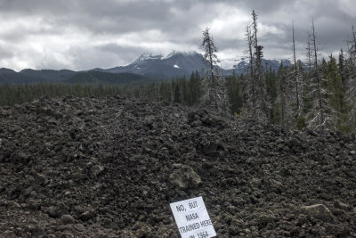 Mckenzie Pass lava fields