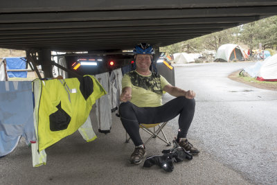 Hiding from the rain under a truck