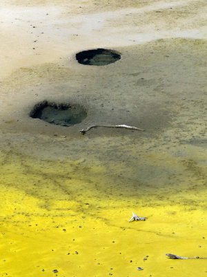 Wai-O-Tapu Thermal Area